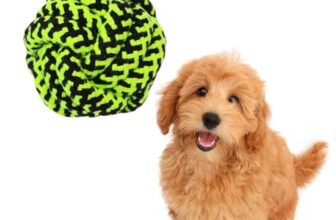 PETBABAS Cotton Rope Balls for Dogs and Pets |Puppy Toys Small Rope Balls for Teething |Durable Chew Cotton Rope Balls |Pet Friendly Washable Dog Toy Rope Ball for Small and Medium Dogs (Green)