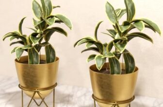 Lifelong Metal Set of 2 Plant Stand for Balcony & Living Room Capacity 10Kg,Anti-Rust Pot Stand for Outdoor Plants & Indoor Planters,Gamla,Planter,Flowerpot,Garden,Plant Stands for Balcony Decoration
