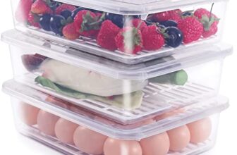 SATVIKAYA Food Storage Container with Removable Drain Plate and Lid,Stackable Portable Freezer Storage Containers Tray to Keep Fruits,Vegetables,Freezer Organizer 2500ML (Pack Of 2)(Plastic)