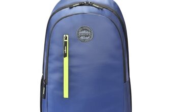 Gear Navy Blue and Green Casual Backpack (BKPECOBP40503)