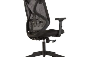 CELLBELL Capree C190 Mid Back Ergonomic Mesh Home & Office Chair Imported Pneumatic Hydraulic | 2D Padded Adjustable Arm Rest [Black]