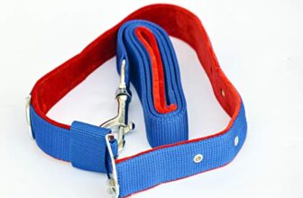 DOGISTA PET Products Dog MUKHMAL Leash Collar Set 1.25, Large