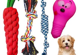emily pets Dog Toys Set Dog Rubber Chew Toys, Rope Toys, Squeaky Toys All-in-One Set Dog Toys for Small to Medium Dogs (Pack of 4, Color May Vary)