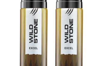 Wild Stone Excel Deodorant for Men, Pack Of 2 (200ml Each) | Best Deo for Office | A Long-Lasting Body Spray for Men | Excel Body Spray with Woody Fragrance