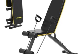 Boldfit Gym Bench for Home, Heavy Duty Commercial Grade Adjustable Weight 250kg Capacity, Foldable Multi-Position Incline/Decline/Flat Bench with Leg Developer, Full Body Strength Training Equipment