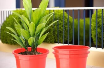 Kuber Industries (Pack of 3) Flower Pot | Fuldani Flower Pot | (8 Inch) Pots for Home, Terrace, Garden | Pots Stand for Plants | Phooldaan for Home D?cor | Synergy Indoor Plant Stand | Red