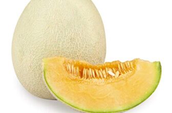 Fresh Muskmelon 1 Piece, (500 – 900 g)