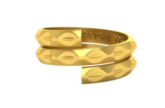 PNG Jewellers 3 gm Vedhani Gold Ring 24 kt (995)