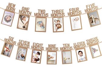 Party Propz 1-12 Month Photo Frame Banner – Set of 1 Photo Banner for First Birthday(Cardstock) | Baby Photo Frame 0 to 12 Months | New Born 0 to 12 Month Photo Frame | Bday Photo Banner 1st Birthday