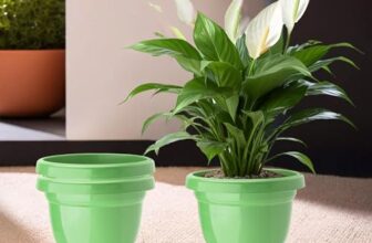 Urbane Home (Pack of 3) Flower Pot | 2-Layer Fuldani Flower Pot | (6 Inch) Pots for Terrace, Garden | Pots Stand for Plants | Phooldaan for Home Décor | Synergy Indoor Plant Stand | Green