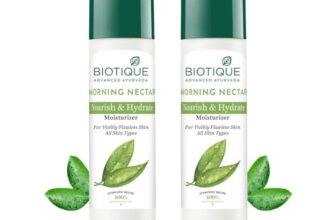 Biotique Morning Nectar Flawless Skin moisturizer for All Skin Types, 380ml (190ml x 2)