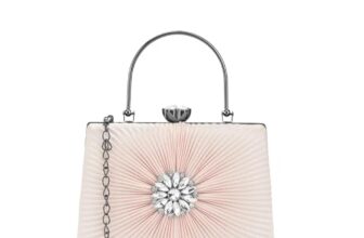 Lavie Women’s Ray Trapezoid Framed Clutch | Ladies Purse Handbag