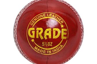 DSC Grade Cricket Leather Ball – Premium Alum Tanned, Four-Piece Professional Match Ball – Standard Weight & Size (Red, Pack of 1)