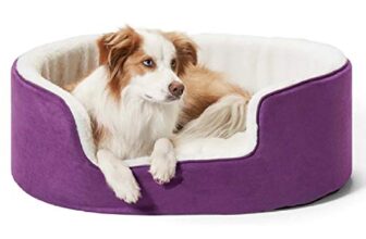 Petslover Warm Fleece Winter Beds Round Shape Reversible Ultra Soft Ethnic Designer (Export Quality) Bed with Cushion Pillow for Dog/Cat (Purple, Small)