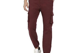 Campus Sutra Men’s Regular Fit Cargo Pants (CBCS22_CSMSSCR5569_Maroon_34)