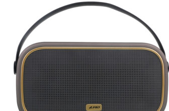 F&D W18 Portable 10 W Bluetooth Speaker(Brown, Gold, Black, Stereo Channel)