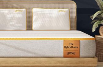 SleepyCat Latex Mattress | 10 Years Warranty | Firm, Orthopedic 6-inch Hybrid Mattress with Pinhole Tech Latex & Memory Foam Layers | 5-Zone Support & Hypoallergenic Cover (King-72x72x6 Inch)