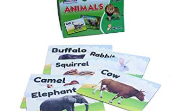 Negi Animal Flashcards for Kids