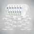 Sofy Anti Bacteria Overnight Extra Long Sanitary Pads, XX-Large, Pack of 40