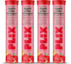 The Plant Fix Plix Apple Cider Vinegar 15 Effervescent Tablets Watermelon Flavour with Vitamin B12(4 x 15 No)