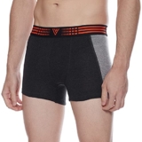 Van Heusen Cotton Men Anti Bacterial Trunks – Colour Fresh, Moisture Wicking_10049_Anthra Melange W Grey Melange_L, Large
