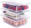 SATVIKAYA Food Storage Container with Removable Drain Plate and Lid,Stackable Portable Freezer Storage Containers Tray to Keep Fruits,Vegetables,Freezer Organizer 2500ML (Pack Of 2)(Plastic)