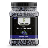 Granic Farms Premium Dried Blueberries Plum 500gm | Blueberries Plum | Whole and Unsweetened | Vegan and Gluten Free – Vitamin Rich | Low Fat Healthy Snacks | Dried Blueberries 500gm