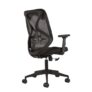 CELLBELL Capree C190 Mid Back Ergonomic Mesh Home & Office Chair Imported Pneumatic Hydraulic | 2D Padded Adjustable Arm Rest [Black]