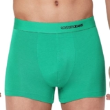 Underjeans by Spykar Men Green Solid Trunk UJNPTS044Green