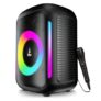 Boat PartyPal 30, 25W Signature Sound, RGB LEDs, Wired Mic for Karaoke, Up to 6H Battery, TWS Mode, Multi Connect, Bluetooth Speaker, Wireless Speaker, Portable Speaker (Premium Black)