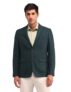 Arrow Men’s Green Textured Notch Collar Long Sleeve Formal Polyester Tailored Fit Blazer (ARAIBZ5014_Green_40)