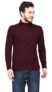 Ap’pulse Men’s 1/4 Hi Neck Zipper Maroon