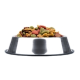 Pets Empire Dog Feeding Steel Bowl