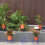 TrustBasket Eclips Plant Stands Blue (Set of 6) | Premium Strong and Durable Flower Pot Stand for Home Garden, Outdoor Balcony Indoor Living Room Decor | Gamla Stand