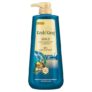 Kesh King Gold Anti-Dandruff Shampoo with 21 Herbs + Bio Niacinamide for Men & Women I 99% Users saw reduced dandruff in 2-weeks* I Eliminates dandruff & maintains scalp moisture, 600ml
