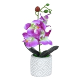 Cortina Artificial Bonsai for Decoration | Plastic Bonsai with Pot | Aesthetic Room Decor, Home Decor, Living Room Decor & Bedroom Decor | Great for Gifting – Rose – 7x8x20 CM