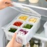 Satpurush Fridge Storage Boxes, Fridge Organiser, Container for Kitchen Storage Set, Plastic containers for Kitchen Storage, Durable containers for Storage for Efficient Organisation (Pack of 1)
