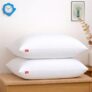Zinnia Comfort Soft Microfiber Bed Pillows for Sleeping | White, Regular Size 16 x 24 Inches | Soft & Comfortable Set of Pillow for Home & Daily Use | Pack of 2