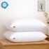 WISHKEY 3 in 1 Night Lamp USB Chargeable Light for Bedroom, Night Lamp for Kids with Pencil Sharpener & Pen Holder Stand Girls & Boys, Plastic Design for Child’s Room (Multicolor)