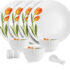 deconstruct Sunscreen – SPF 50 PA++++ Lightweight Gel Sunscreen | In-Vivo Tested | Non Greasy | For Men & Women(30 g)