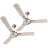 Havells 1200mm Festiva ES Ceiling Fan| Premium Finish| Energy Saving| Designer Fan for Home Decor| Elegant Looks| 230 m³/min Air Delivery| Hi-Speed Low Noise| 100% Copper Motor (Pack of 2, Gold Mist)