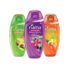 Fiama Shower Gel Patchouli & Macadamia And Blackcurrant & Bearberry Body Wash With Skin Conditioners, 250 Ml Bottle (Pack Of 2)