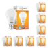 Cherry Blossom Handy Shine – Black + Neutral