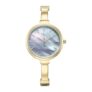Titan Raga Showstopper Quartz Analog Mother of Pearl Dial Metal Strap Watch for Women-95273YM01