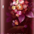Clinic Plus Strength & Shine Shampoo with Egg Protein for Strength, Shine and Smoothness, 650 ml