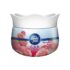 Flipkart SmartBuy Kitchen Scrubber for Dish/Utensils/Tiles Cleaning Scrub Pad Multicolor Free Size Wet and Dry Sponge, Microfiber Cleaning Cloth(5 Units)