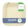 Clazkit 50 Pack Areca Square Palm Leaf Bowl| Like Wooden Bamboo | Eco Friendly, Biodegradable, Use and Throw Small Dona | for Serving Pasta, Soup & Snacks | Birthday, Wedding & Party (6″ X 6″)