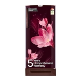 Godrej 185 L 4 Star 5 Years Comprehensive New Launch | Toughened Glass Shelves | 24 Day Farm Freshness | Jumbo Vegetable Tray | Single Door Refrigerator (RD 195DN TDI MY WN, Mystic Wine)