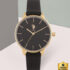 Allen Solly Analog Watch  – For Men
