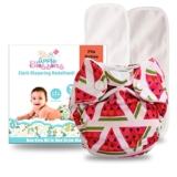 Apple Blossoms Reusable Cloth diaper | New Born babies to 3M | CPSIA Certified 300+wash|Washable & Adjustable Snap Button | pack includes 1 Diaper with 2 organic Bamboo cotton inserts